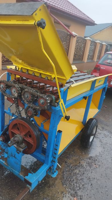 Mașina tăiat cozile ceapa