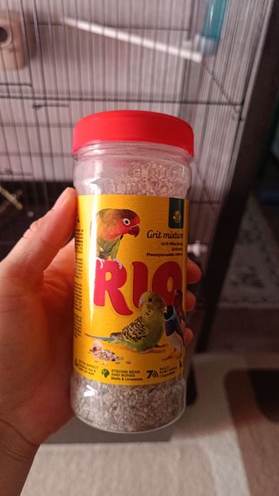 Продам волнистый папугай. Мальчик