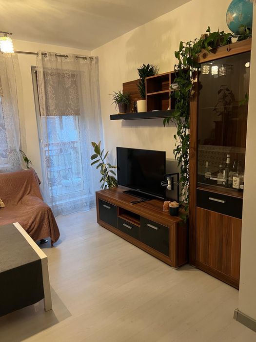 Colega de apartament