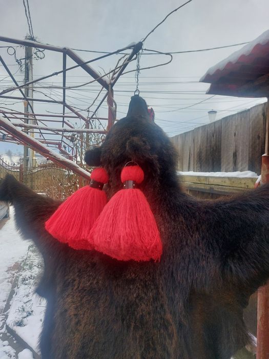 Piele de urs...blana de urs