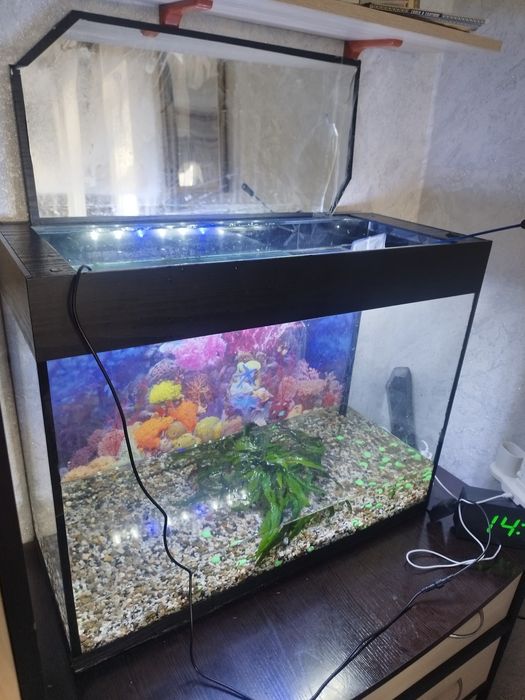 Продам Аквариум.