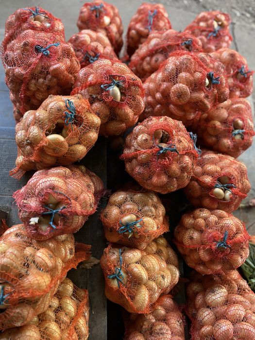 Ceapă albă din arpagic