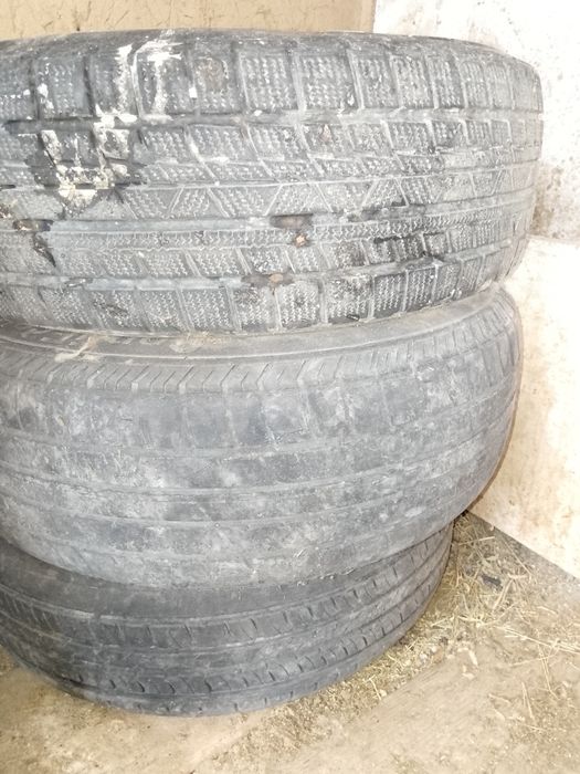 Шины покрышки баллоны
