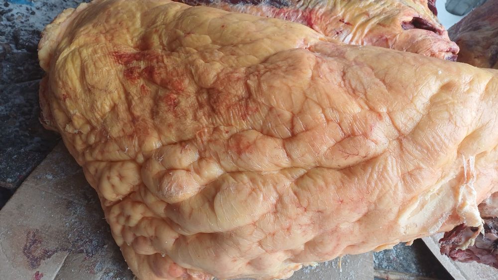 Мясо конина продам 2800