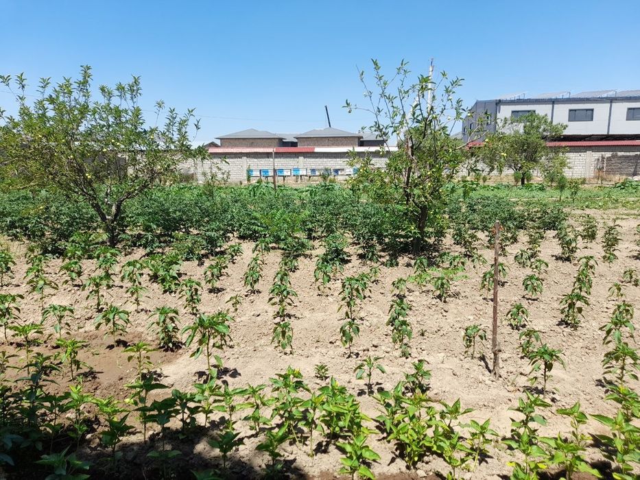 Земляной участок