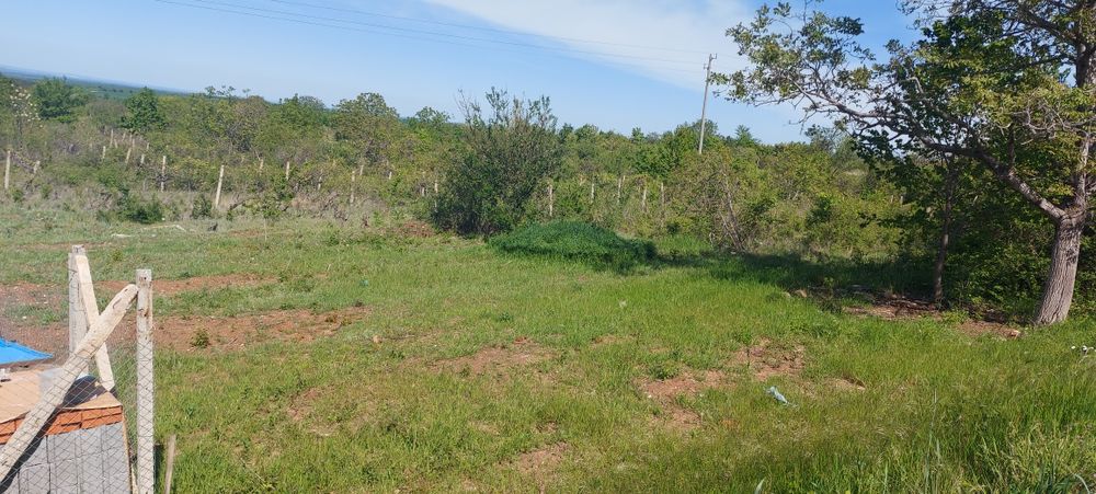 Продава се Парцел в Асеновград - 1500 кв.м за 17 €/кв.м - Снимка #4