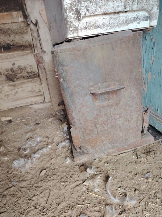 Продам чабанку 50000