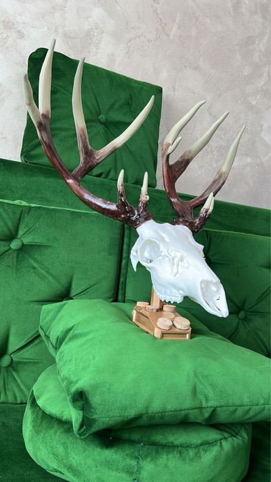 Trofeu de cerb -replică 3D