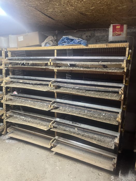 Продам клетка для перепелов