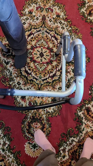 Хадунок взрослый