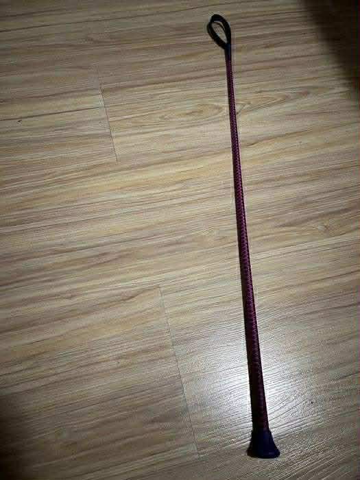 Каска за конна езда CHAMPION + подарък камшик