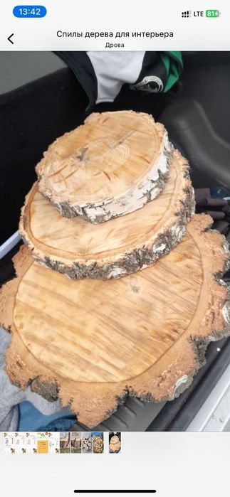 Спилы дерева для интерьера