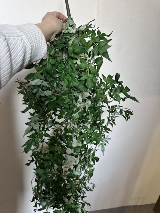 Искуственная зелень ветками