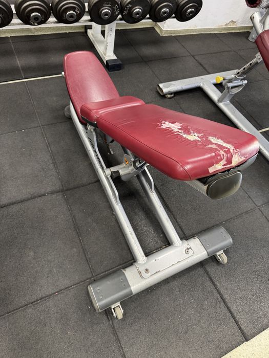 Banci fitness profesionale  life fitness  / gym 80
