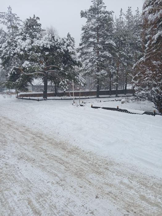 Сдам в аренду помещение!