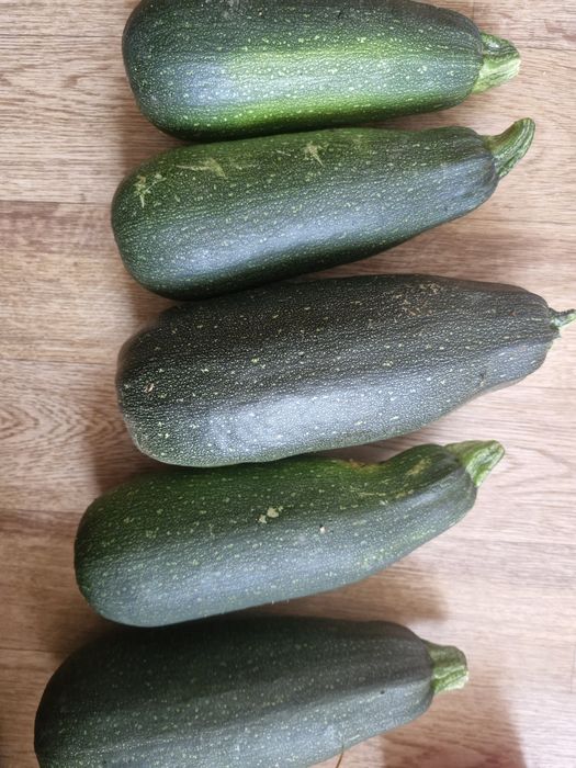 Кабачки домашние