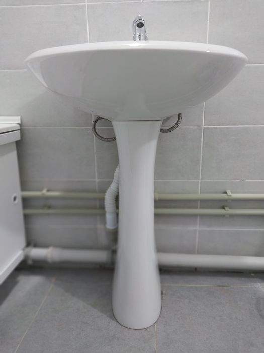 Раковина тюльпан