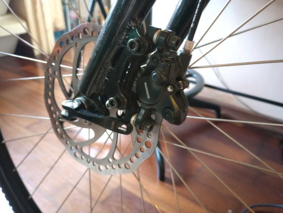 Bicicleta Pegas Hoinar (pentru oras, livrari, sau drumetii)