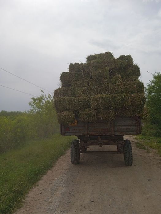 Беда преслар, молларга хашак сифатида