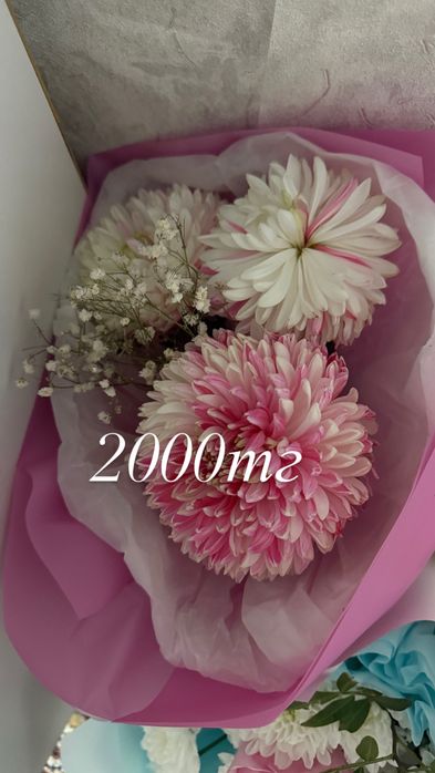 цветы в отличном состояний