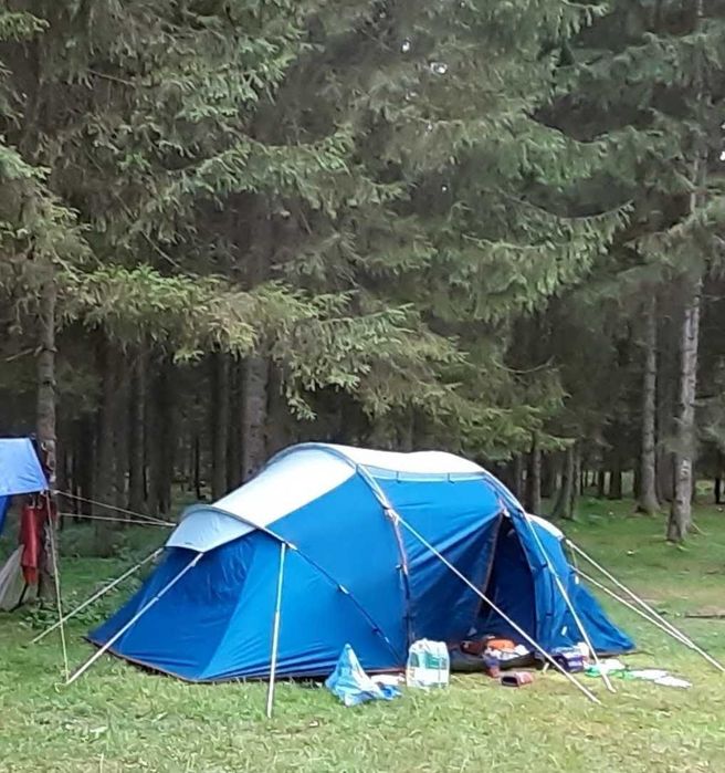 Cort Arpenaz 4.2