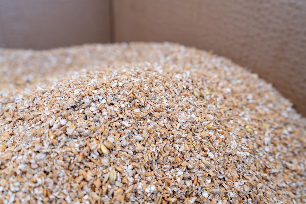 Moară aplatizor cereale GX 200