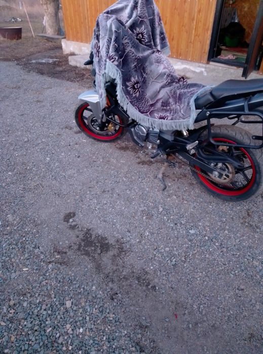 Kayo classic 2024