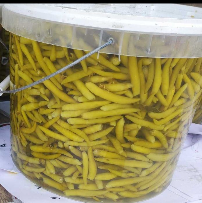 Перец (зелёный острый стручковый, перчики для донера), Перец халапеньо