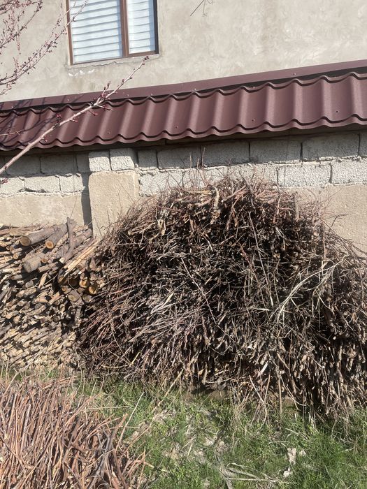 Шабылған отын, кішірек газель толып қалады