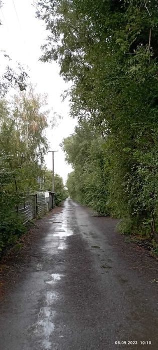 Сдам в аренду дачный участок