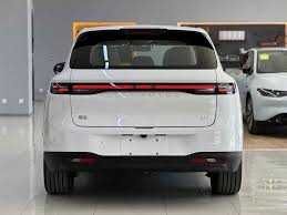 leapmotor b10 pad zakaz