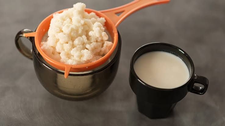Vând ciupercă tibetană kefir lapte