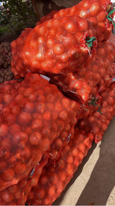 Продам лук оптом