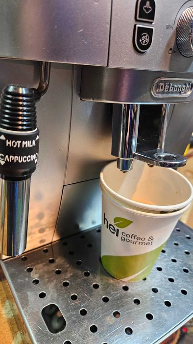 DeLonghi Magnifica S Smart