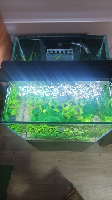 Аквариум 125 литров