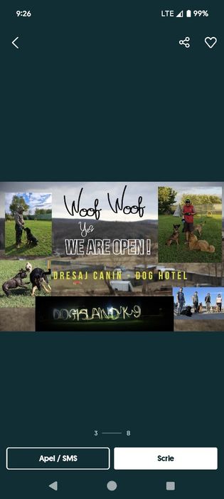 Dresaj canin scoala Dogisland K9