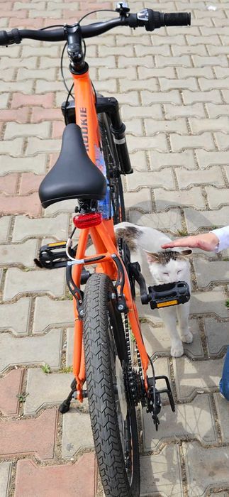 Vand bicicleta XFACT ROOKIE pentru copii