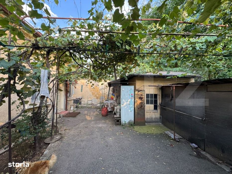 Casa 78mp cu teren 200mp, ideala pentru renovare si investiti, Zona ce