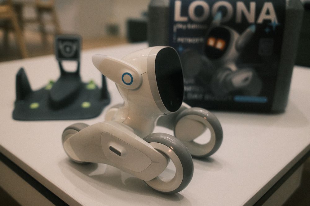 Loona Robot  - Sky edition