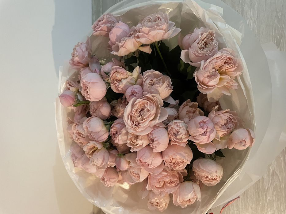 цветы сегодняшнего дня