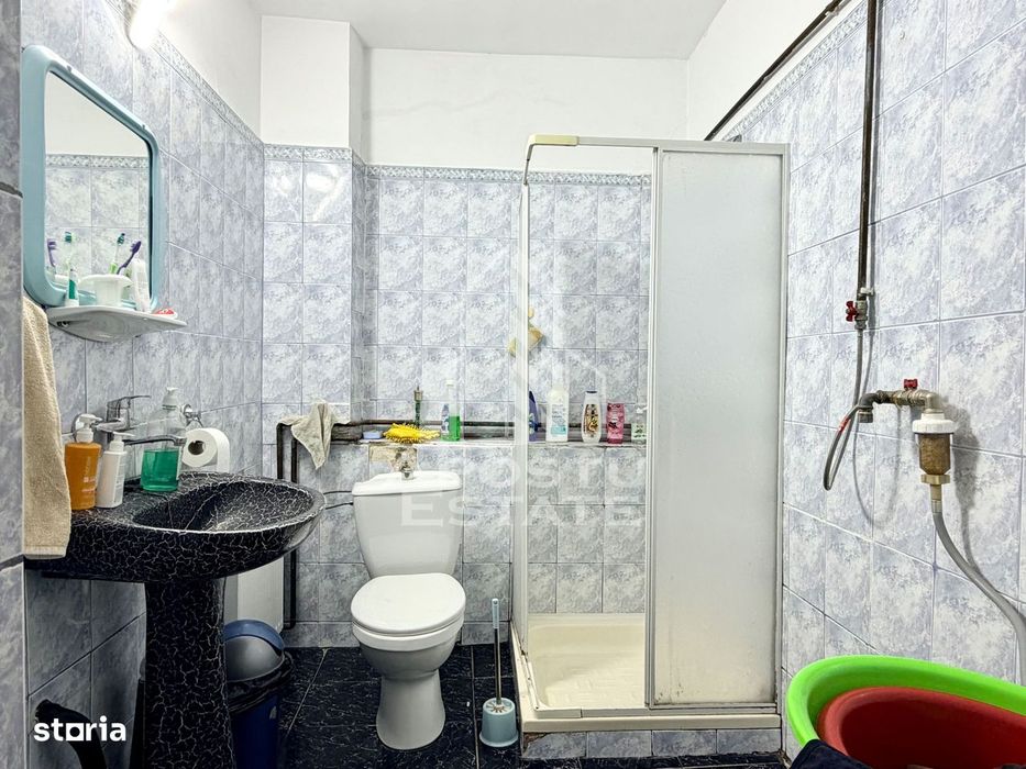 Casa renovata de vanzare pe parter Beregsau Mare