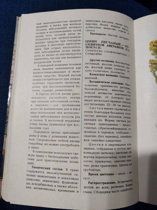 Лекарственные растения. Диетотерапия. Мумиё..