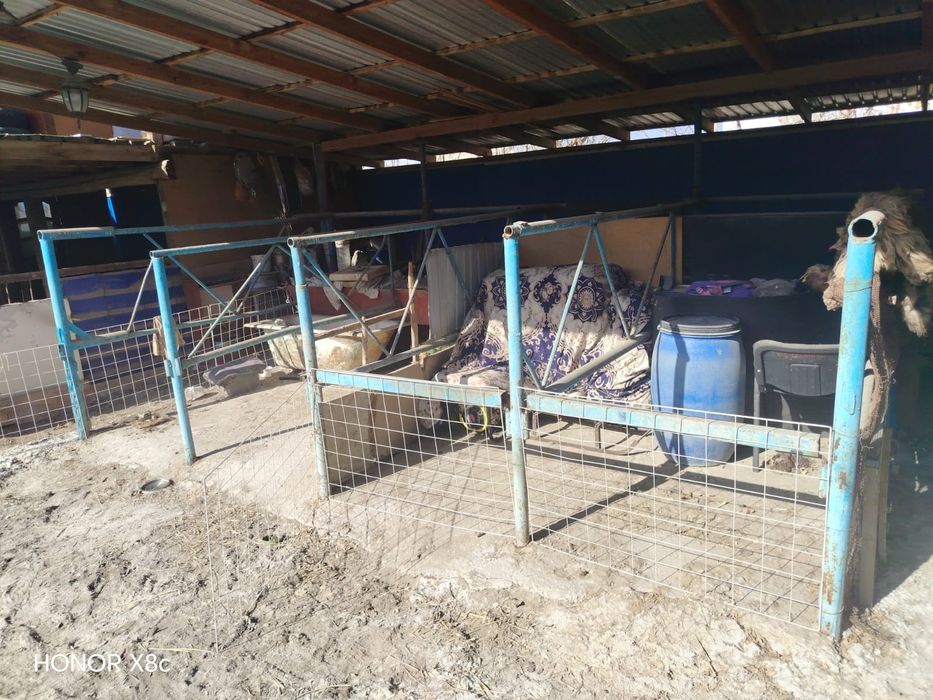 Мал бордақы қойма