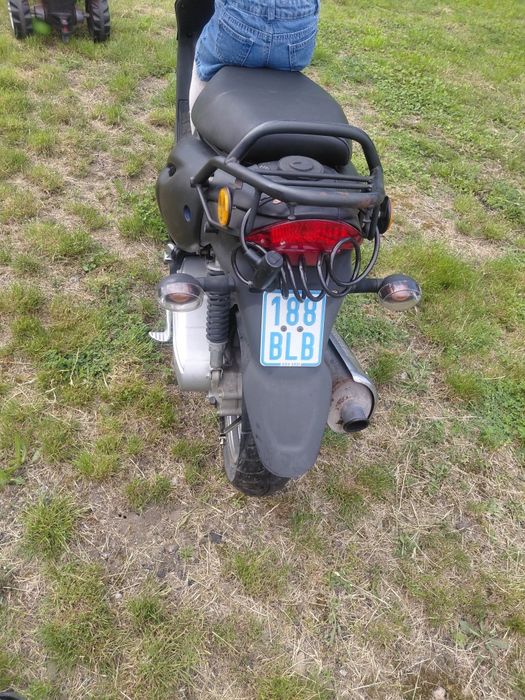 Vand scouter 50 cm