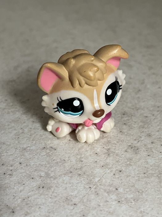 Little pet Shop лпс