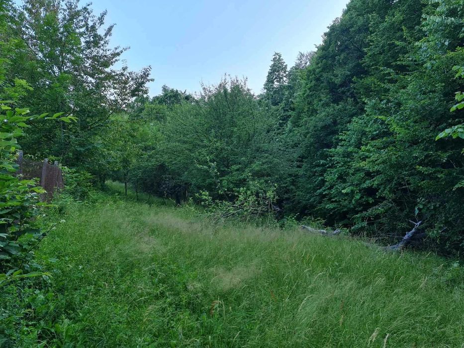 Парцел в регулация Габрово с. Мечковица