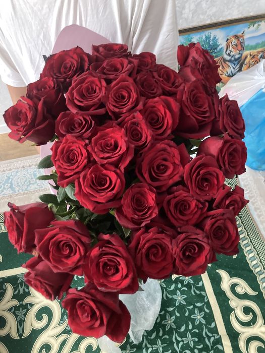 цветы (розы метровые)