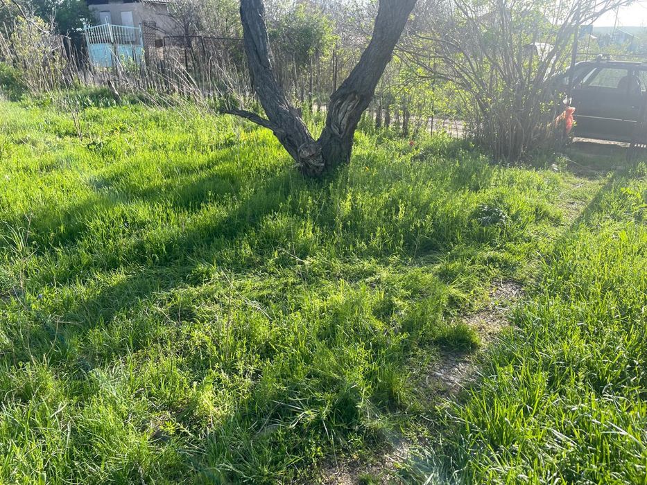 Продаётся дача с вагоном