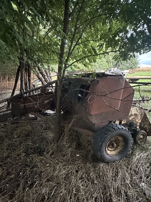 Balotiera sgorbati in stare buna