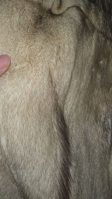 Шуба норковая соболь